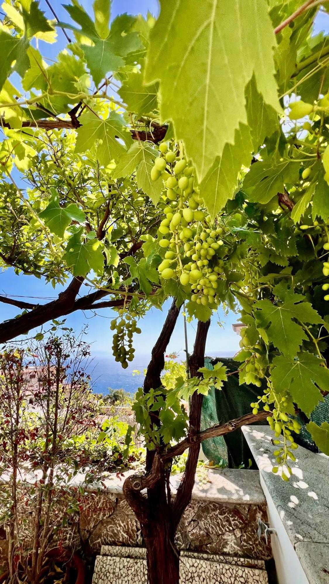 Mediterranea, Taormina, Private Pool & Sea View Taormina